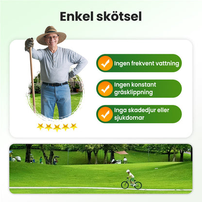 Gräsfrön för gräsmatta och golfbana