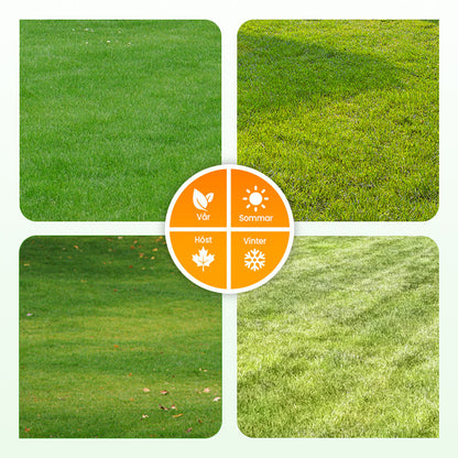 Gräsfrön för gräsmatta och golfbana