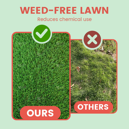 Gräsfrön för gräsmatta och golfbana