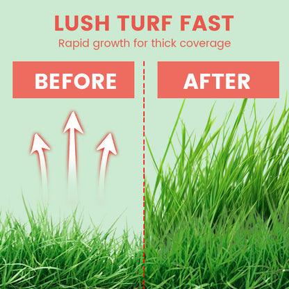 Gräsfrön för gräsmatta och golfbana